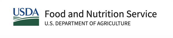 USA Logo