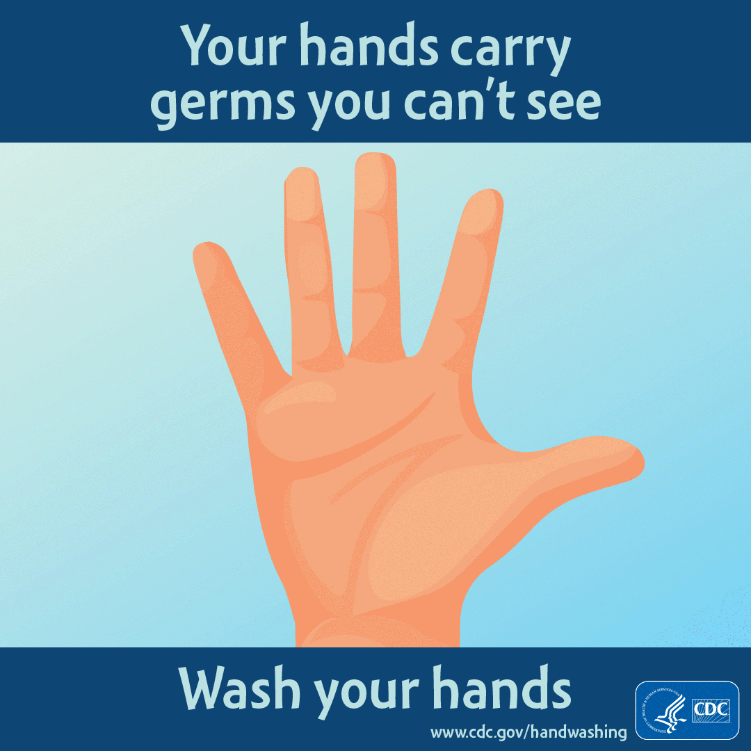Wash your hands! Wash your hands!